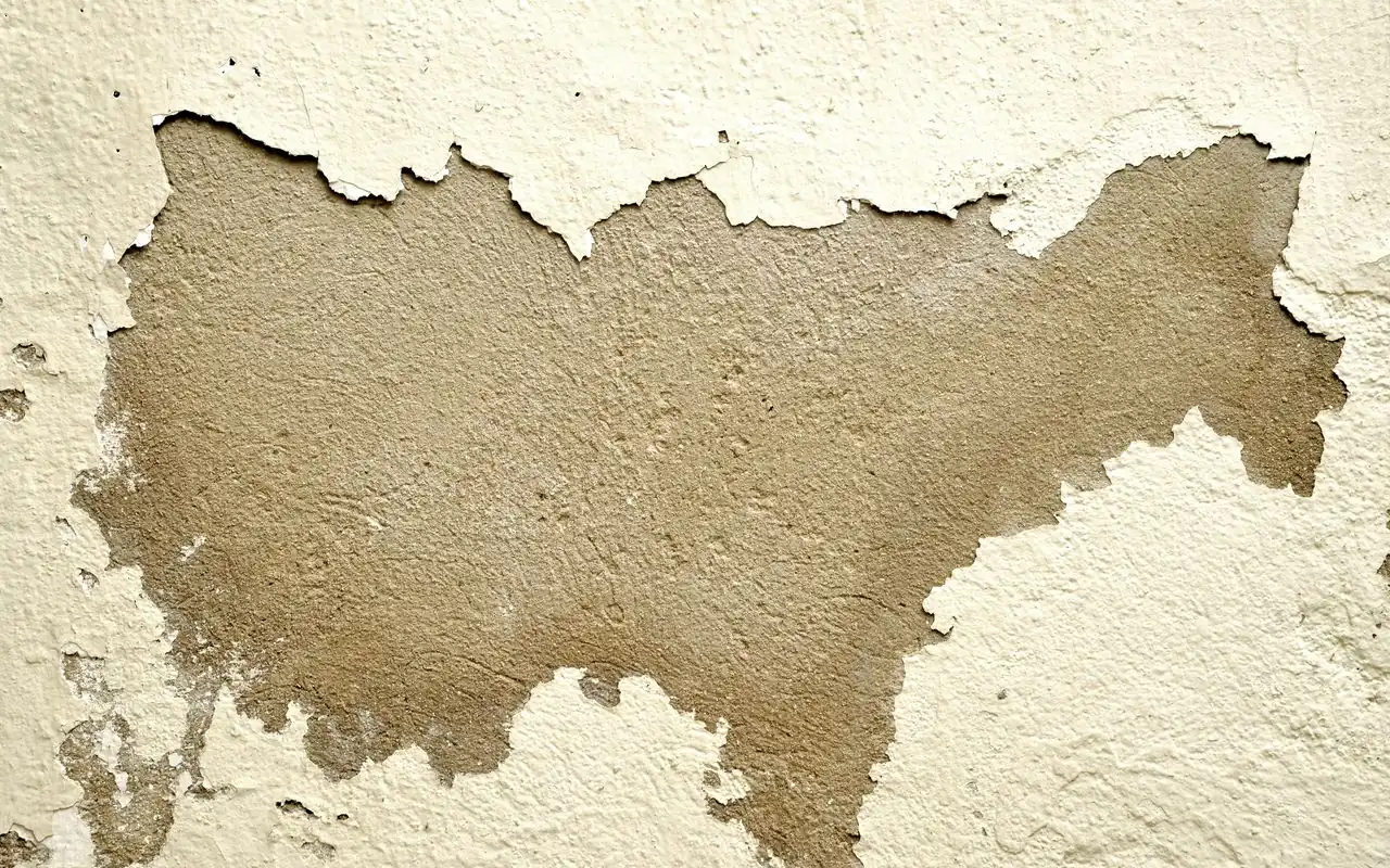 Render blown clean off a wall to expose the substrate — a surface that needs far more than a standard prep allowance.